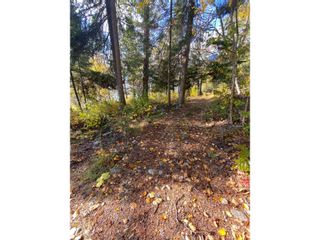 Photo 15: Lot 2 HIGHWAY 3A in Nelson: Vacant Land for sale : MLS®# 2468095