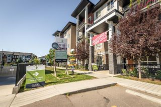 Photo 7: 310 20 Walgrove Walk SE in Calgary: Walden Apartment for sale : MLS®# A1250627