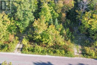 Photo 6: Part 1 Lot 38 Pine Island RD in Laird: Vacant Land for sale : MLS®# SM240224