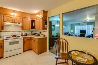 Photo 11: 2 Bedroom Apartment for Sale in Maple Ridge