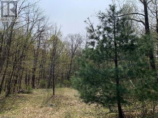 Photo 5: 18 JOHNSON Road in Apsley: Vacant Land for sale : MLS®# 40421063