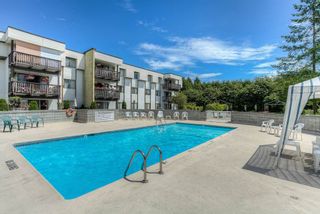 Photo 12: 201 12170 222 Street in Maple Ridge: West Central Condo for sale : MLS®# R2019001