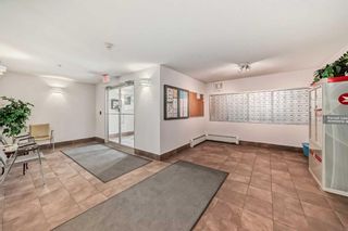 Photo 6: 2108 6224 17 Avenue SE in Calgary: Red Carpet Apartment for sale : MLS®# A2134135