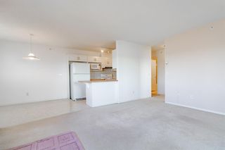 Photo 15: 427 165 Manora Place NE in Calgary: Marlborough Park Apartment for sale : MLS®# A1196284