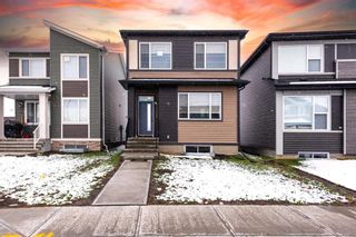 Photo 1: 146 Wolf Creek Rise SE in Calgary: C-281 Detached for sale : MLS®# A2115372
