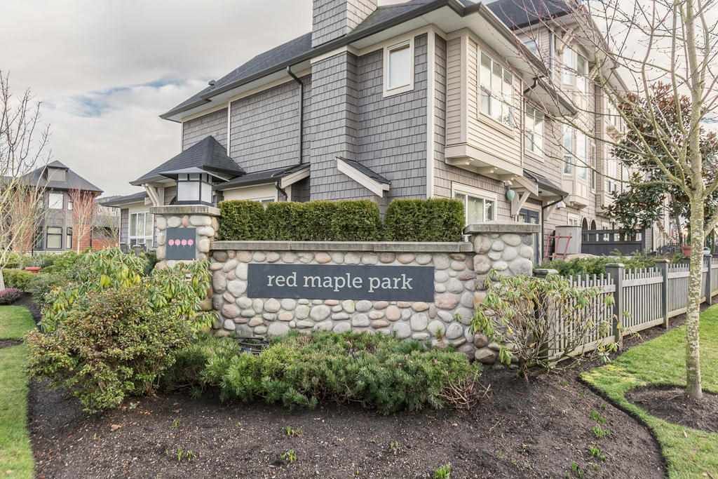 Main Photo: 164 7938 209 Street in Langley: Willoughby Heights Townhouse for sale in "RED MAPLE PARK" : MLS®# R2102170