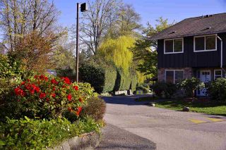 Photo 18: 206 555 W 28TH Street in North Vancouver: Upper Lonsdale Condo for sale in "Cedar Brooke Village Gardens" : MLS®# R2555478