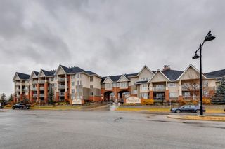 Photo 28: 326 15 Everstone Drive SW in Calgary: Evergreen Apartment for sale : MLS®# A2009313