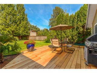 Photo 16: 2971 REECE Avenue in Coquitlam: Meadow Brook House for sale : MLS®# V1129265