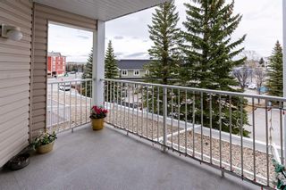 Photo 13: 308 305 1 Avenue NW: Airdrie Apartment for sale : MLS®# A2093153