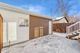 Photo 26: 3 Templemont Way NE in Calgary: Temple Semi Detached (Half Duplex) for sale : MLS®# A2019471