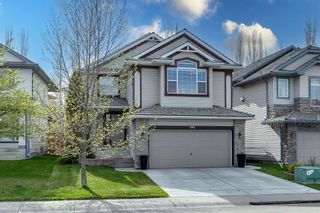 Main Photo: 204 Mt Brewster Circle SE in Calgary: McKenzie Lake Detached for sale : MLS®# A2132219