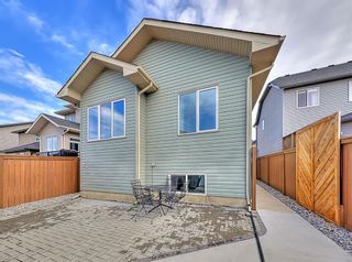Photo 29: 93 Elgin Meadows Circle SE in Calgary: McKenzie Towne Detached for sale : MLS®# A1199353