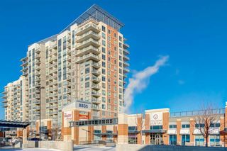 Photo 22: 809 8710 Horton Road SW in Calgary: Haysboro Apartment for sale : MLS®# A2100664