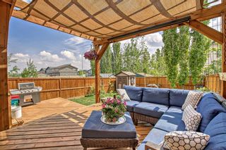 Photo 14: 69 Sage Hill Landing NW in Calgary: Sage Hill Detached for sale : MLS®# A2049339