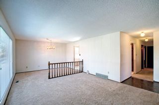 Photo 5: 6207 Temple Drive NE in Calgary: Temple Detached for sale : MLS®# A1234362