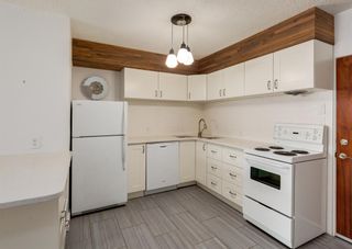 Photo 7: 101 807 48 Avenue SW in Calgary: Britannia Apartment for sale : MLS®# A1191368
