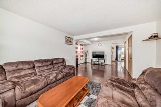 Photo 4: 341 Martindale Boulevard NE in Calgary: Martindale Detached for sale : MLS®# A2130179