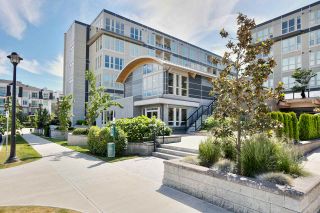 Photo 17: 267 4099 STOLBERG Street in Richmond: West Cambie Condo for sale in "REMY" : MLS®# R2194058