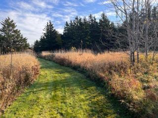 Photo 5: Lots 3 & 4 Brooks Road in Ashmore: Digby County Vacant Land for sale (Annapolis Valley)  : MLS®# 202225766