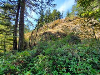 Photo 5: LOT A B & C Glinz Lake Rd in Sooke: Sk 17 Mile Land for sale : MLS®# 950717