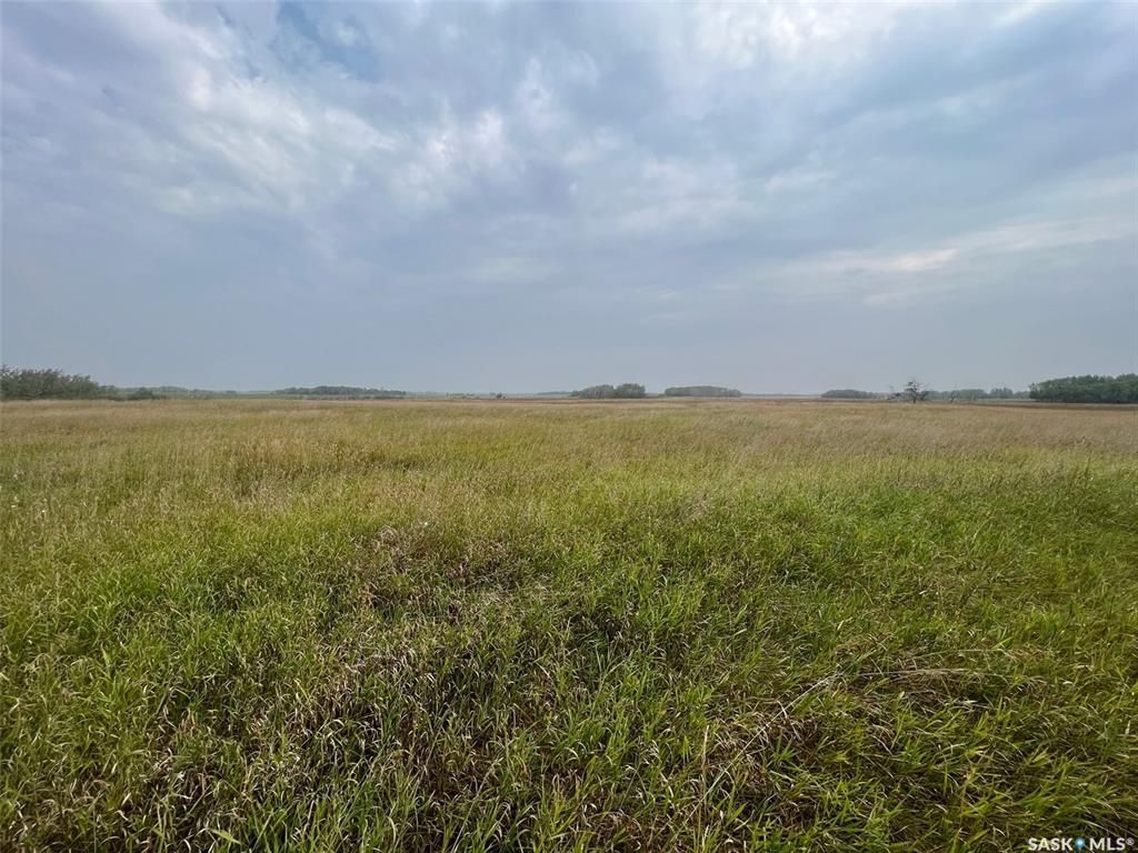 Main Photo: Skoreiko Land in Paynton: Lot/Land for sale (Paynton Rm No. 470)  : MLS®# SK944303
