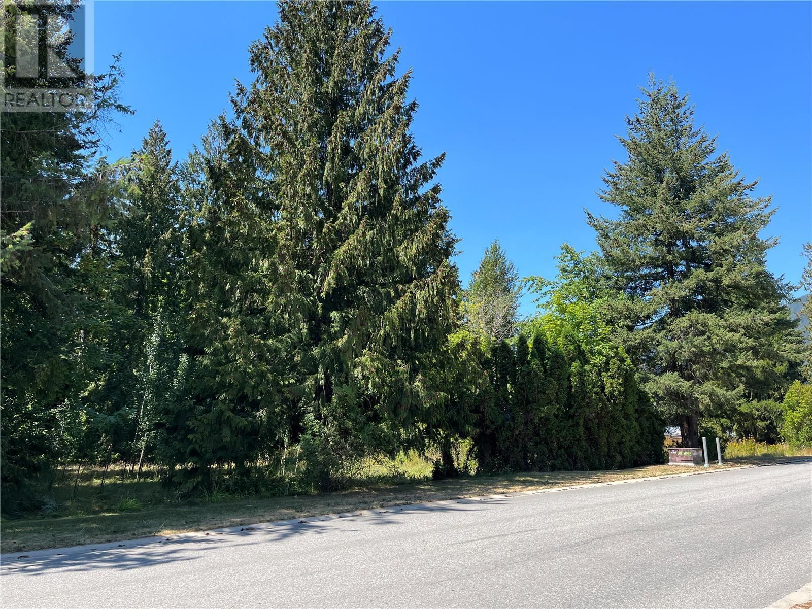 Main Photo: 1118 Shuswap Avenue, in Sicamous: Vacant Land for sale : MLS®# 10281775