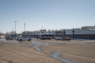 Photo 40: 1204 Lake Twintree Drive SE in Calgary: Lake Bonavista Detached for sale : MLS®# A2032946