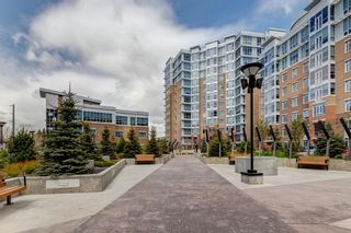 Photo 20: 706 24 Varsity Estates Circle NW in Calgary: Varsity Apartment for sale : MLS®# A1217680