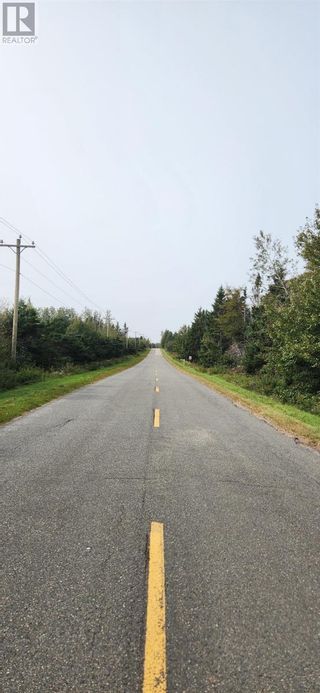 Photo 8: Rte 324 Peters Road in Peters Road: Vacant Land for sale : MLS®# 202320832