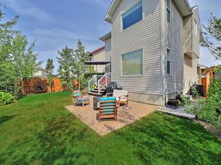 Photo 42: 250 Royal Birch Way NW in Calgary: Royal Oak Detached for sale : MLS®# A1254634