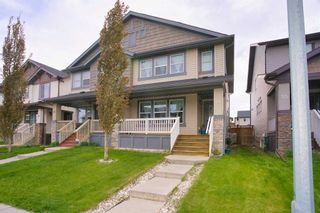 Main Photo: 57 Skyview Point Green NE in Calgary: Skyview Ranch Semi Detached (Half Duplex) for sale : MLS®# A2136242