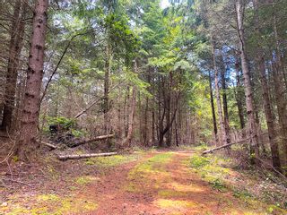 Photo 34: Lot 11 DISTRICT LOT 71 AND 77: Galiano Island Land for sale (Islands-Van. & Gulf)  : MLS®# R2871792