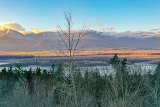 Photo 17: 43614 ALAMEDA DRIVE in Chilliwack: Vacant Land for sale : MLS®# R2868408