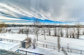 Photo 41: 115 West Creek Meadow: Chestermere Detached for sale : MLS®# A2018641
