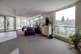 Photo 35: 306 118 34 Street NW in Calgary: Parkdale Apartment for sale : MLS®# A2127525