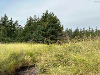 Photo 11: Lot West Sable Road in Little Harbour: 407-Shelburne County Vacant Land for sale (South Shore)  : MLS®# 202221531