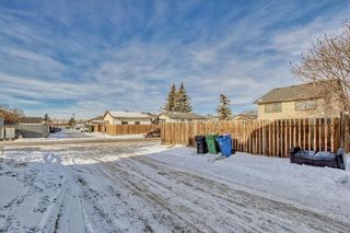Photo 22: 3795 44 Avenue NE in Calgary: Whitehorn Detached for sale : MLS®# A2012349