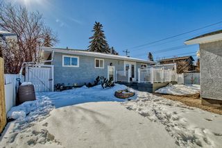 Photo 26: 4652 Namaka Crescent NW in Calgary: North Haven Detached for sale : MLS®# A2032798