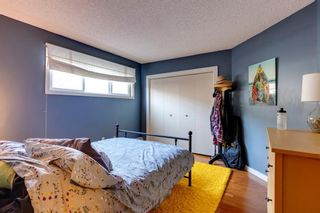 Photo 9: 303 534 20 Avenue SW in Calgary: Cliff Bungalow Apartment for sale : MLS®# A1089552