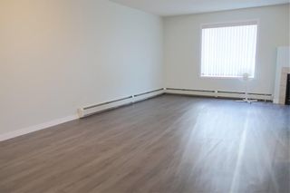 Photo 6: 105 4105 Valleyview Park SE in Calgary: Dover Apartment for sale : MLS®# A1244453