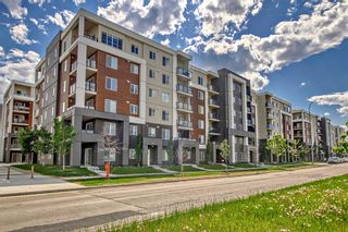 Main Photo: 4310 4641 128 Avenue NE in Calgary: Skyview Ranch Apartment for sale : MLS®# A2051800