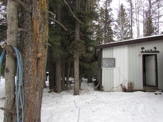Photo 39: 345056 Range Road 50: Rural Clearwater County Detached for sale : MLS®# A2019029