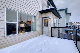 Photo 43: 325 SPRINGMERE Way: Chestermere Detached for sale : MLS®# A1190415