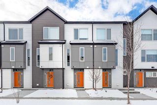 Main Photo: 53 Skyview Ranch Avenue NE in Calgary: Skyview Ranch Row/Townhouse for sale : MLS®# A2109394