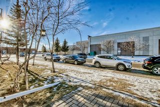 Photo 10: 110 5555 Falsbridge Drive NE in Calgary: Falconridge Apartment for sale : MLS®# A2018312
