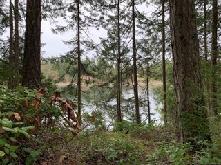 Photo 7: Lot A Cove Rd in Ladysmith: Du Ladysmith Land for sale (Duncan)  : MLS®# 871059