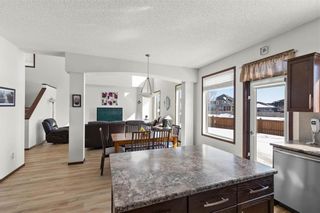 Photo 15: 176 Blue Sun Drive in Winnipeg: Sage Creek Residential for sale (2K)  : MLS®# 202304878