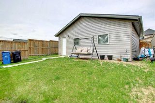 Photo 27: 287 Skyview Springs Gardens NE in Calgary: Skyview Ranch Detached for sale : MLS®# A2137297