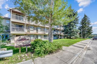 Main Photo: 106 3606 Erlton Court SW in Calgary: Parkhill Apartment for sale : MLS®# A1239681